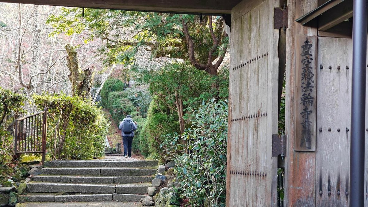 Person walking through garden with wooden gate and trees