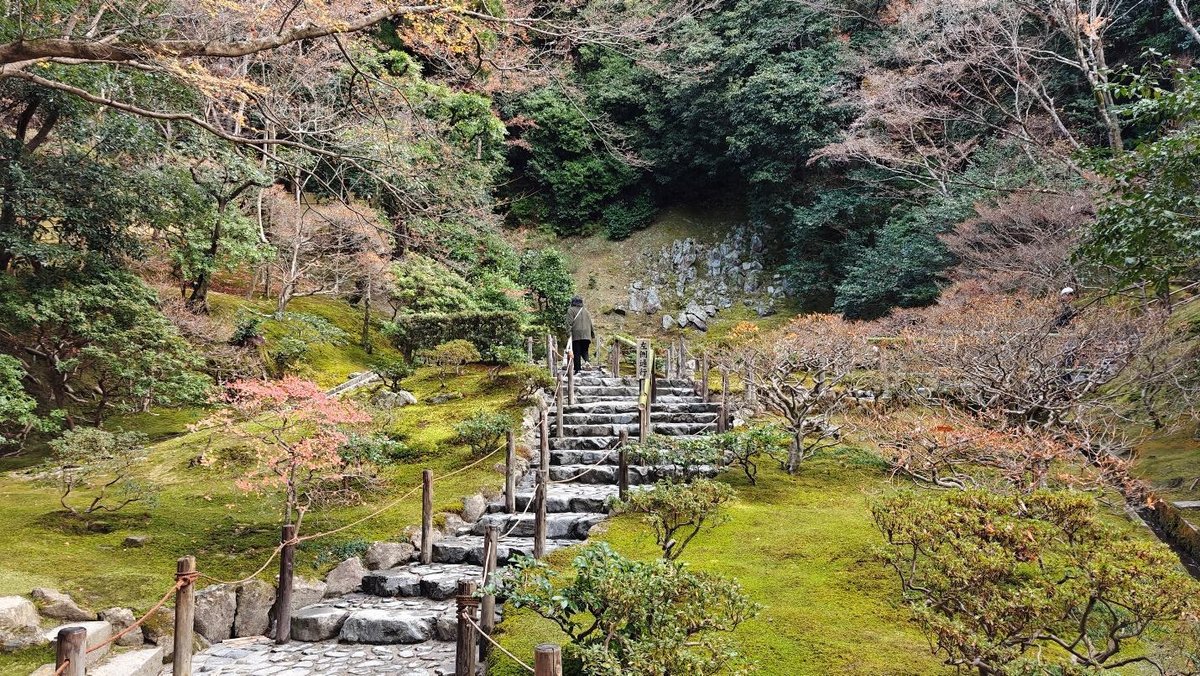Person walks up stone steps in a tranquil Japanese garden