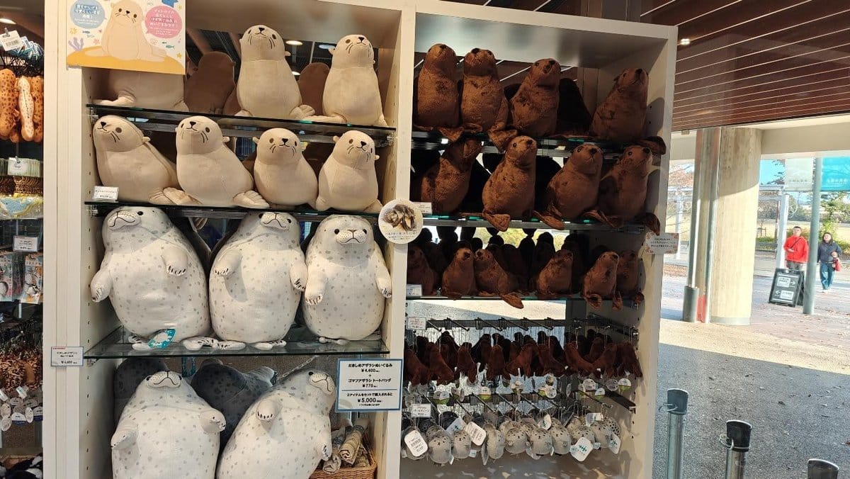 Plush seal toys on display in a well-lit shop