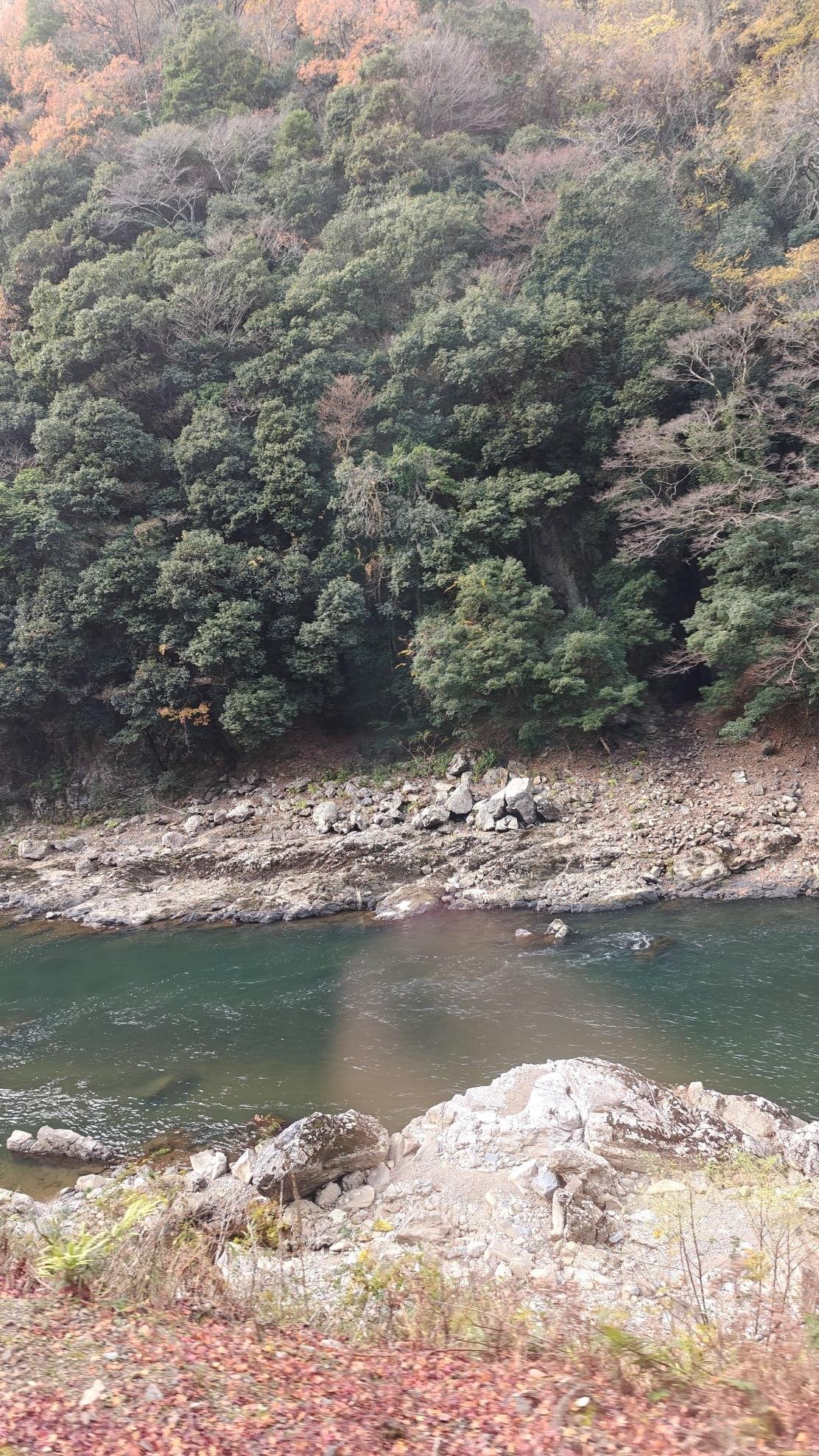 River flowing by lush forested hillside in autumn
