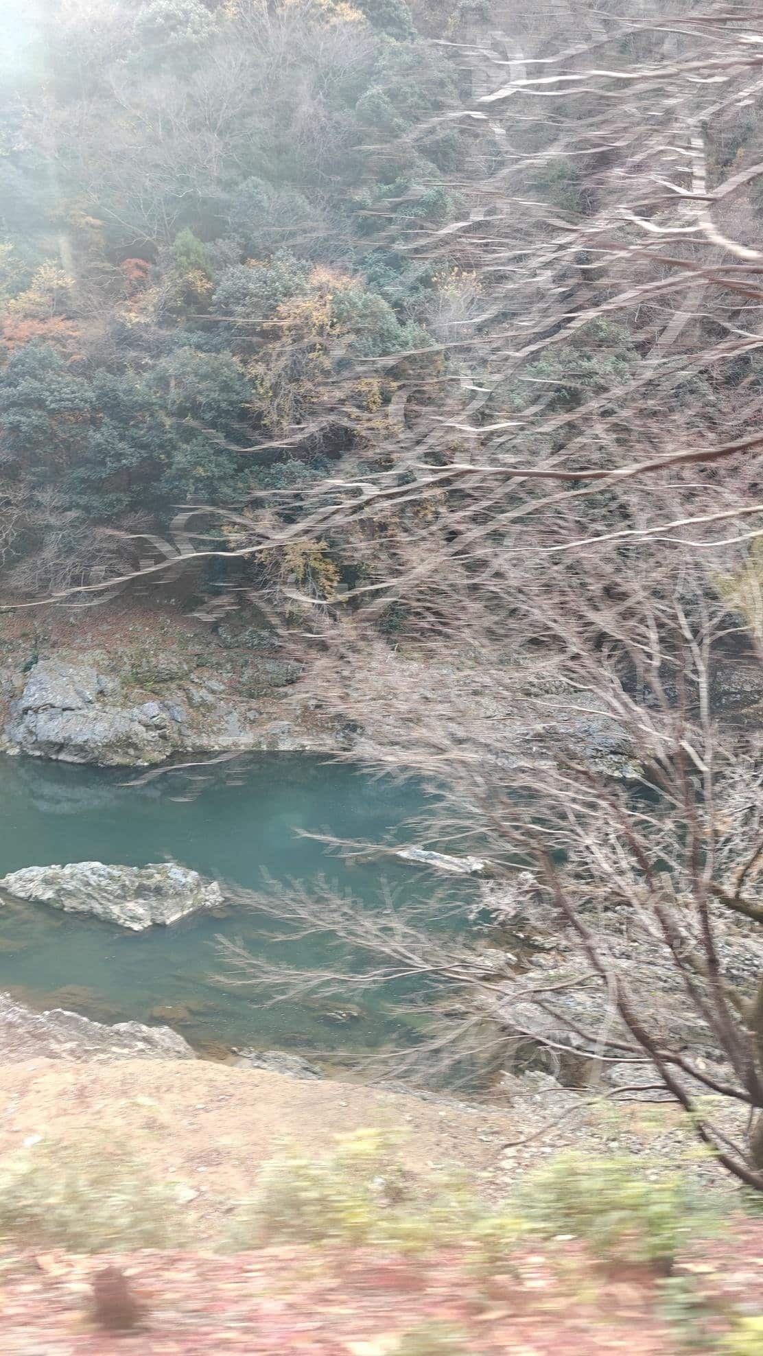 River flowing through lush forest with bare branches