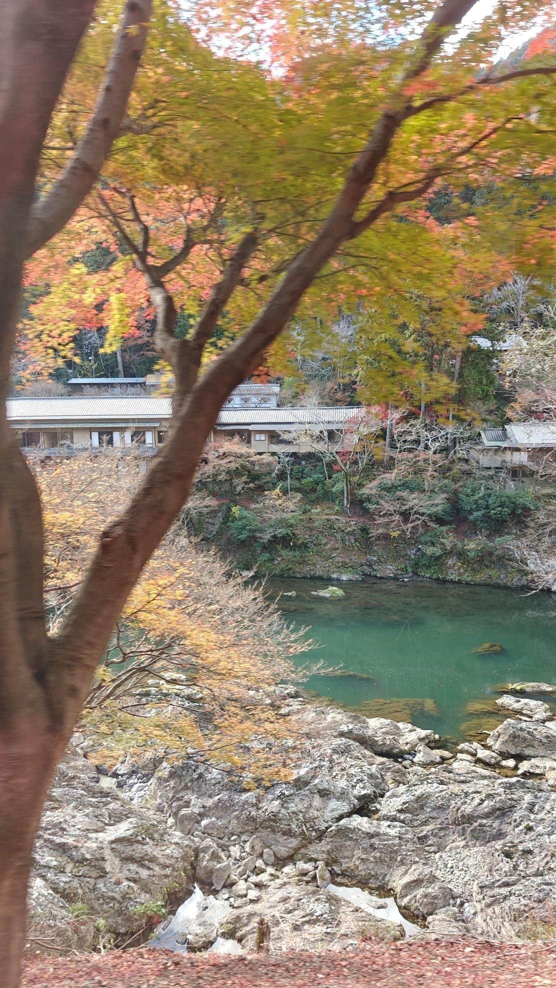 River with autumn leaves and traditional rooftops