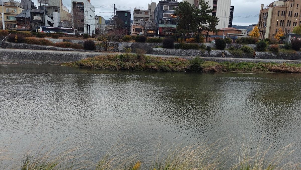 River with city buildings and trees in the background