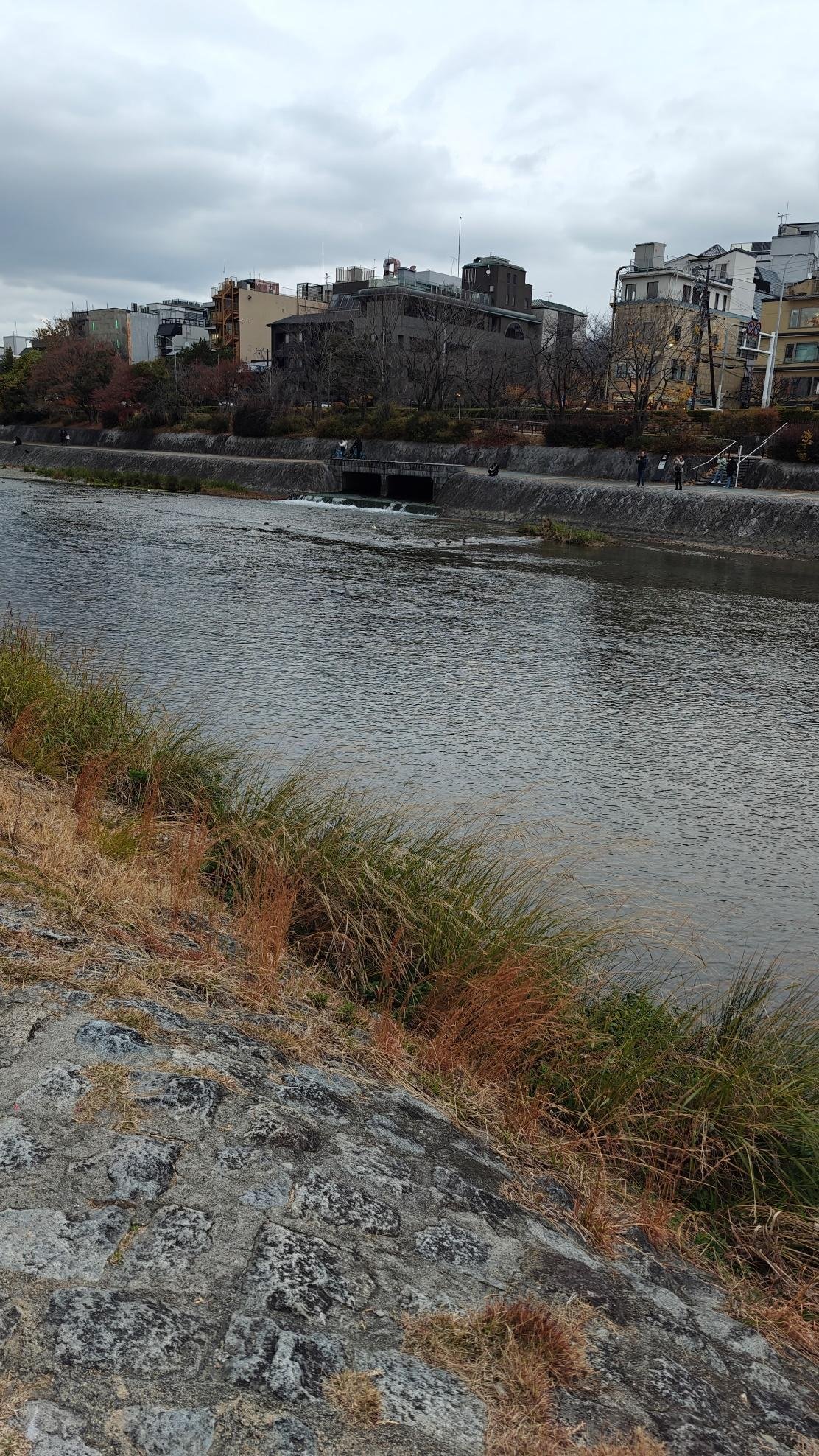 Riverbank with urban buildings and cloudy sky