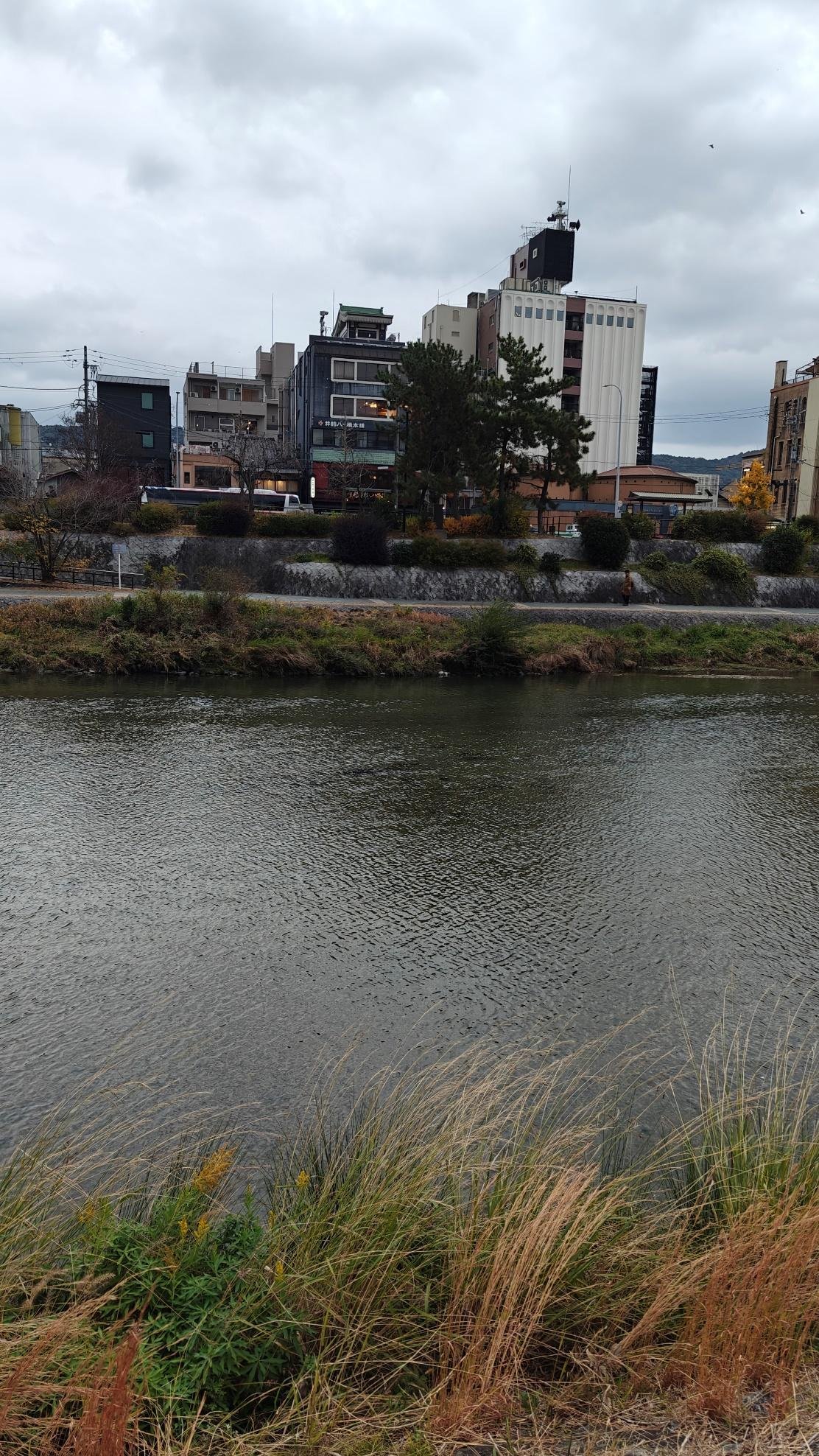 Riverfront view with city buildings under cloudy sky