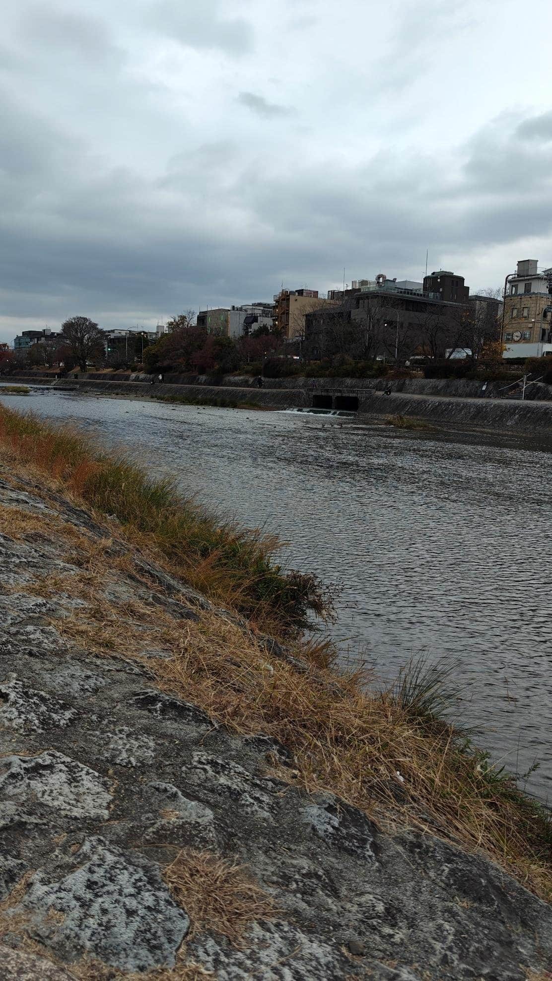 Riverside with cloudy sky and buildings in background