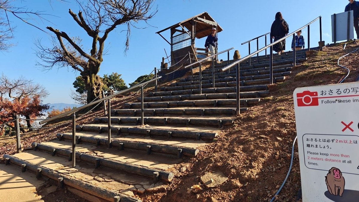Rustic steps leading to viewpoint
