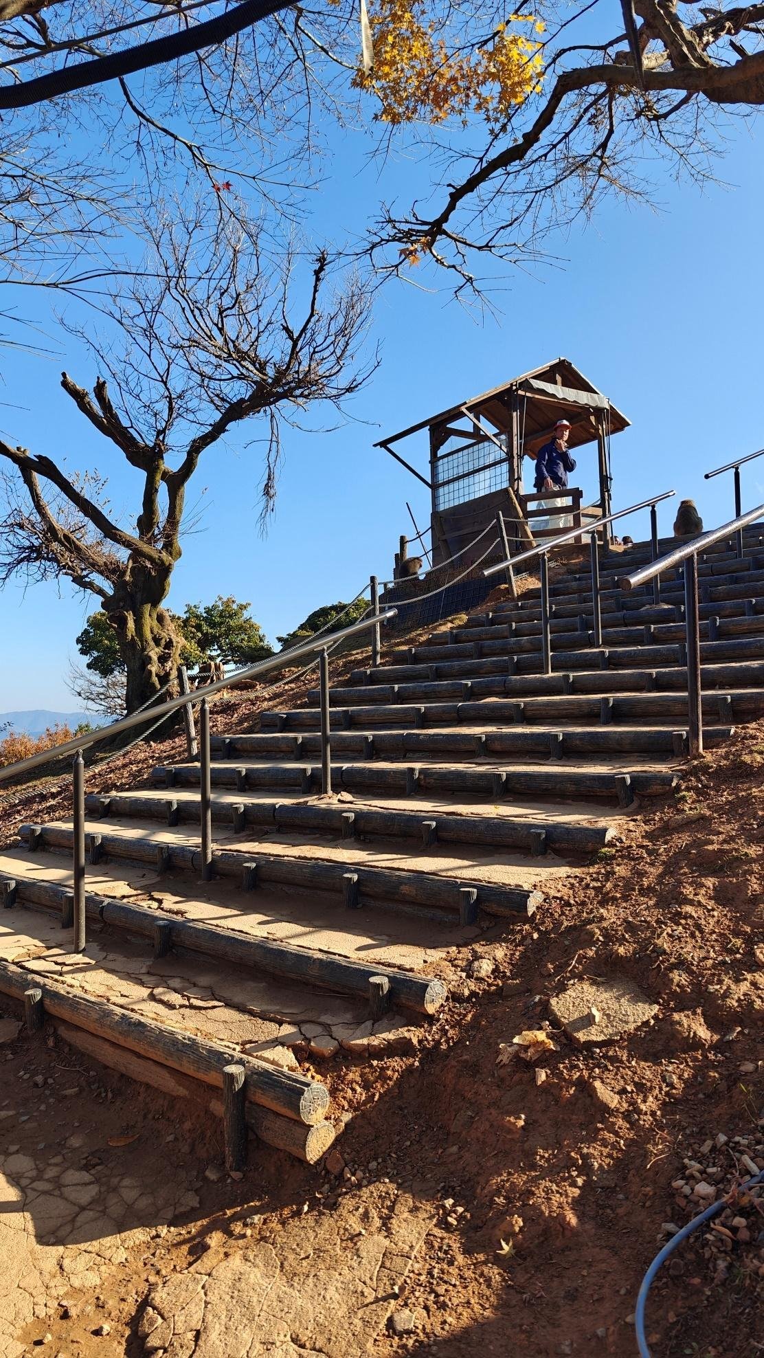 Rustic steps with scenic view