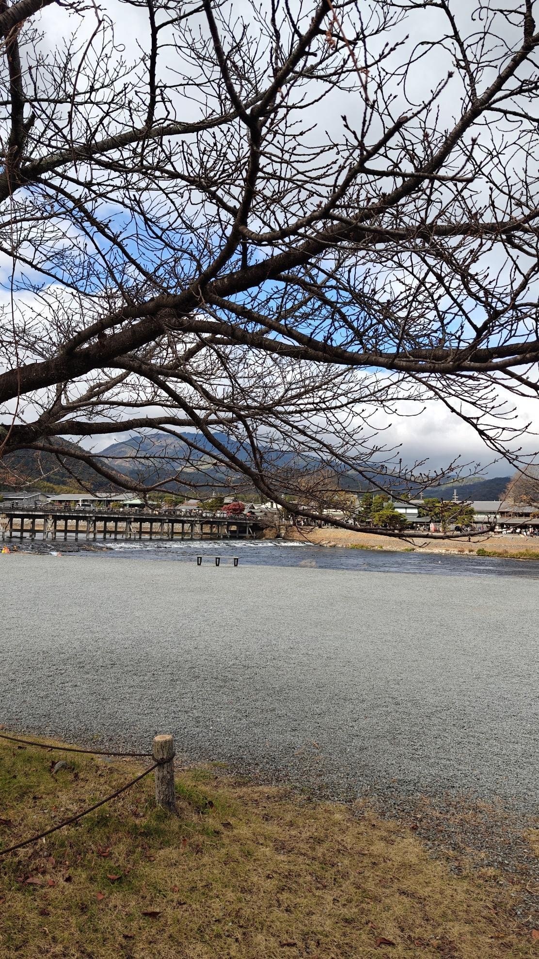 Scenic river view with leafless branches and distant mountains