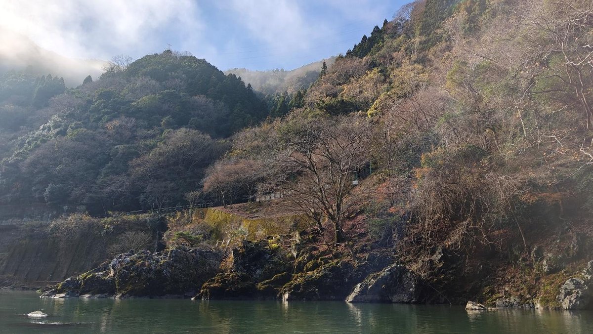 Serene forested hillside beside a calm lake