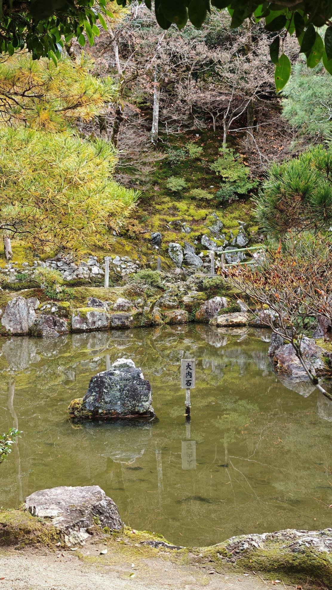 Serene Japanese garden with still pond and lush greenery