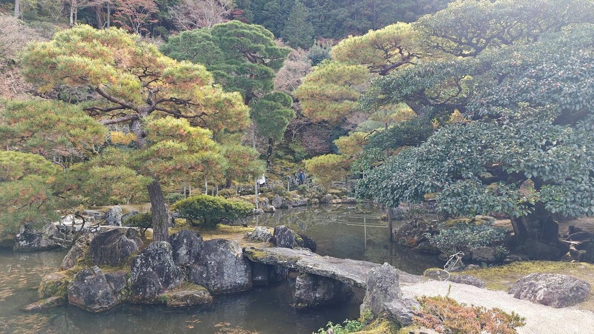 Serene Japanese garden with stone bridge and pine trees