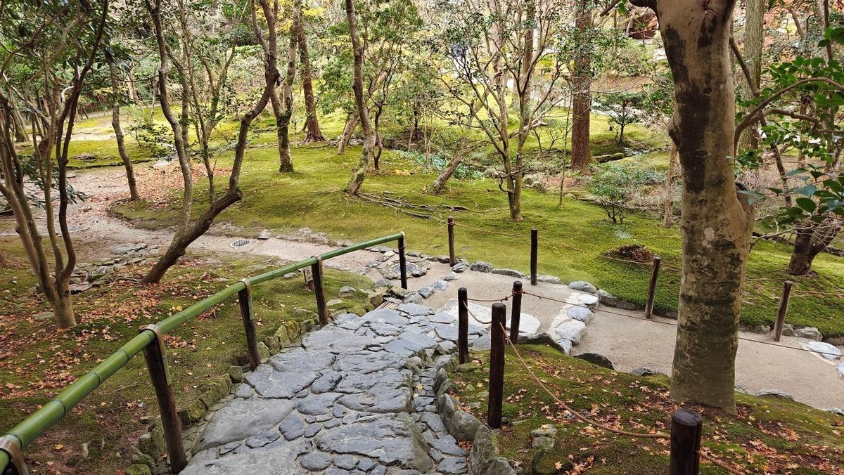 Serene moss-covered garden pathway with trees and stones