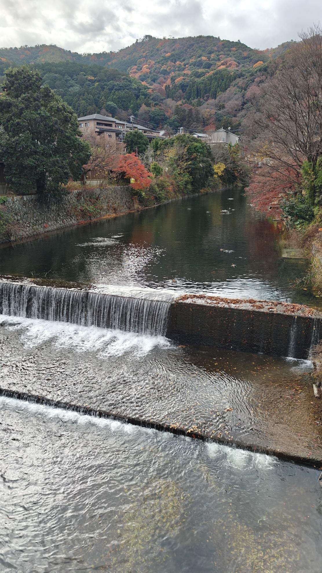 Serene river with autumn trees and distant hills