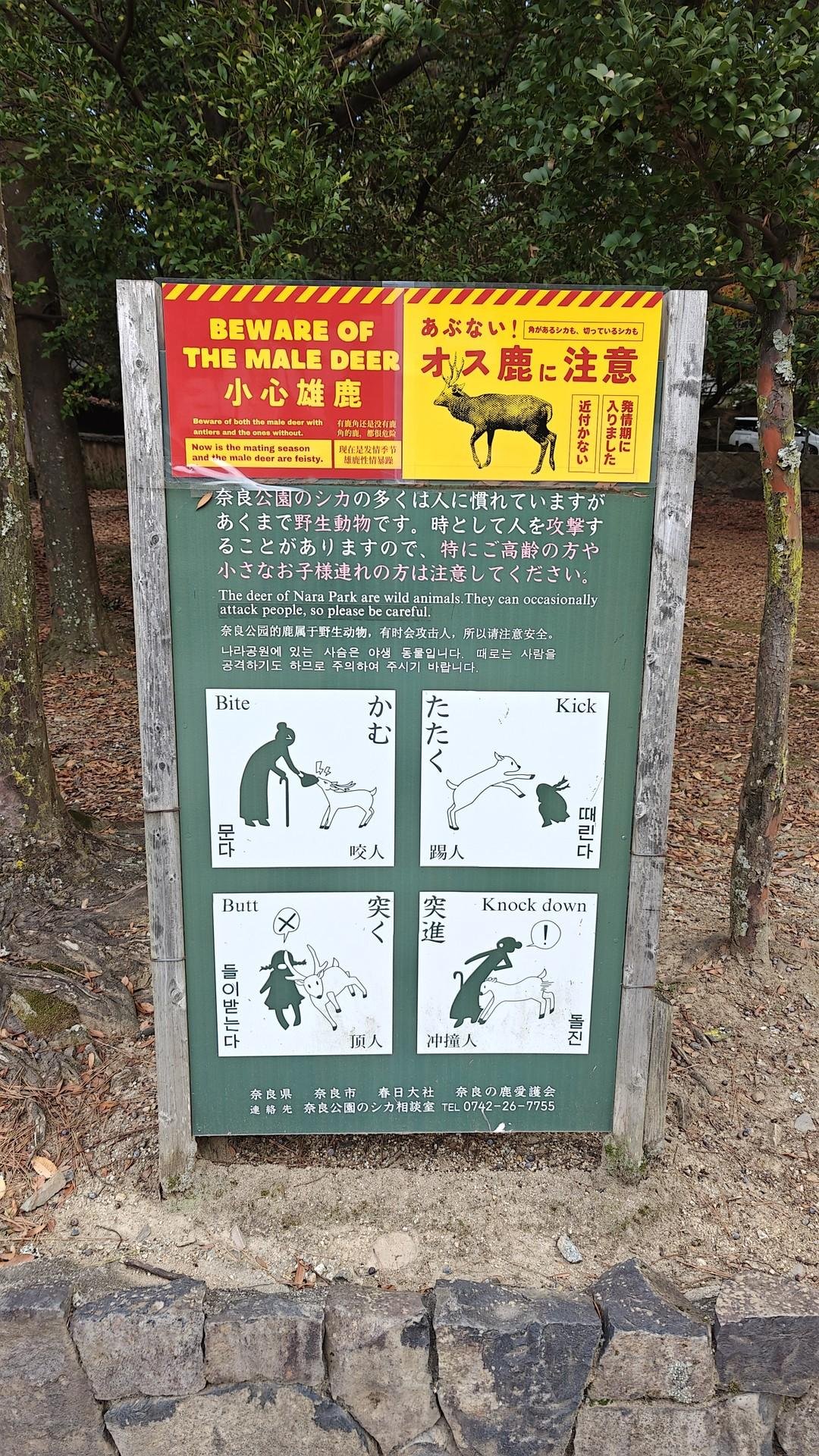 Sign warning about aggressive deer