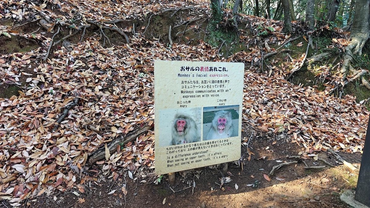 Sign with monkey expressions in forest