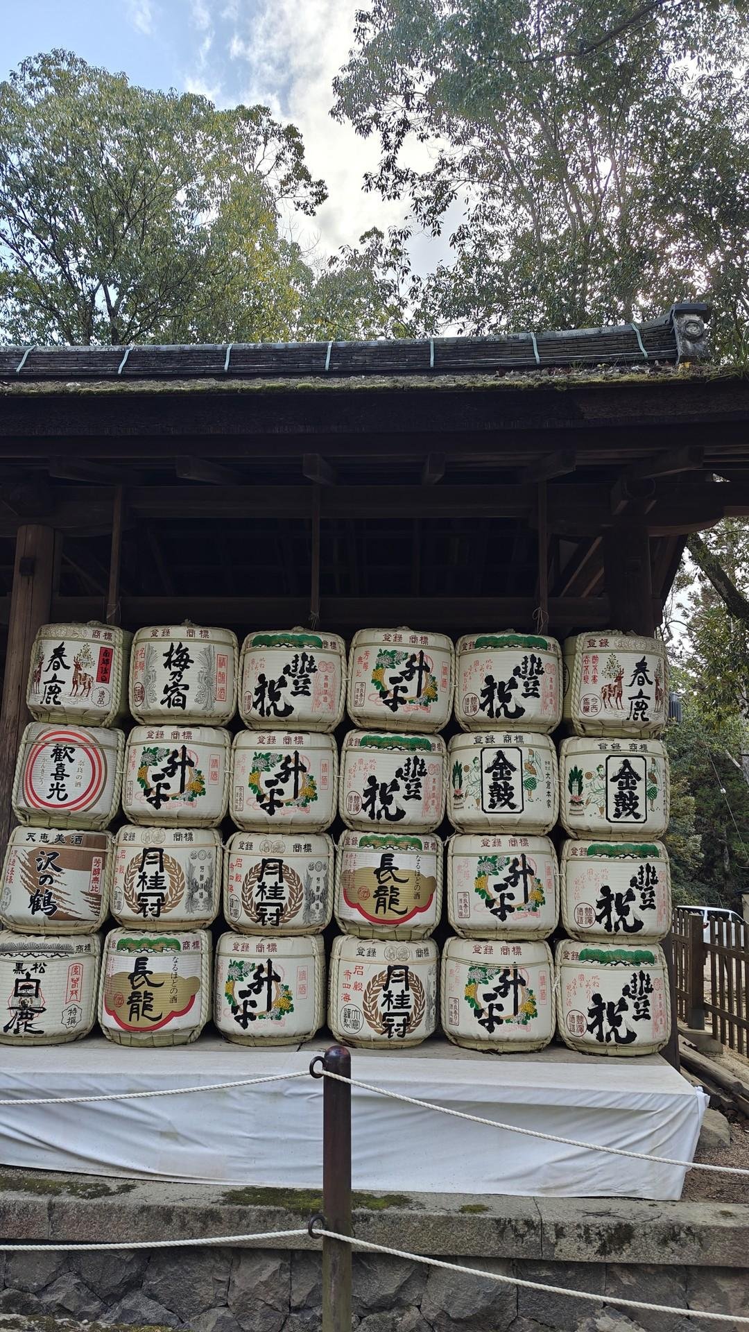 Stacked sake barrels under trees
