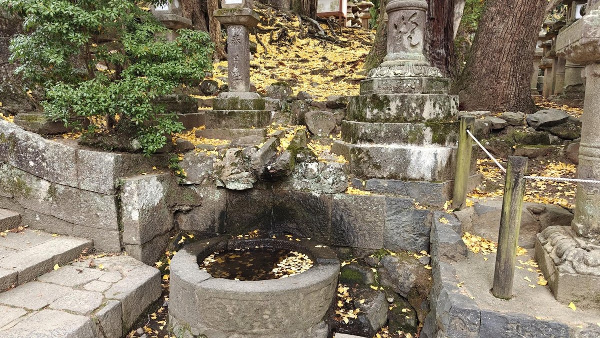 Stone garden with autumn leaves