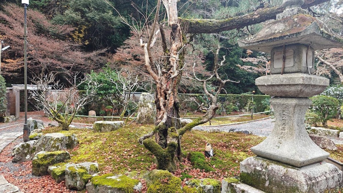 Stone lantern and mossy garden in a tranquil park
