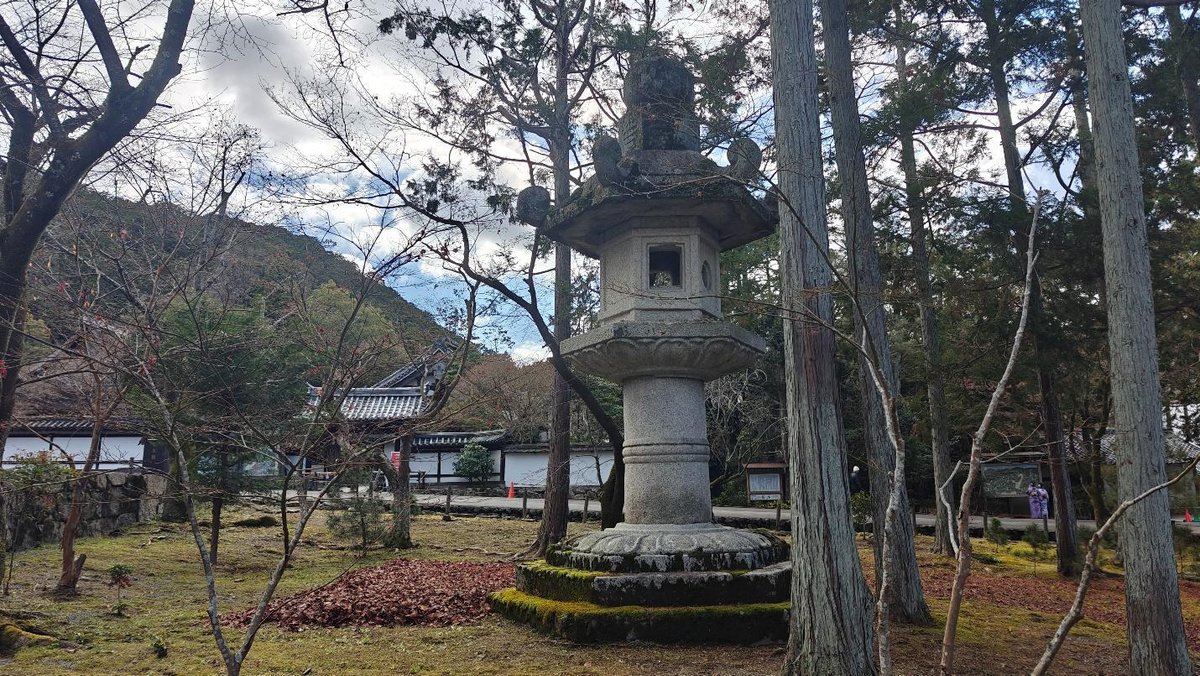 Stone lantern in wooded Japanese garden