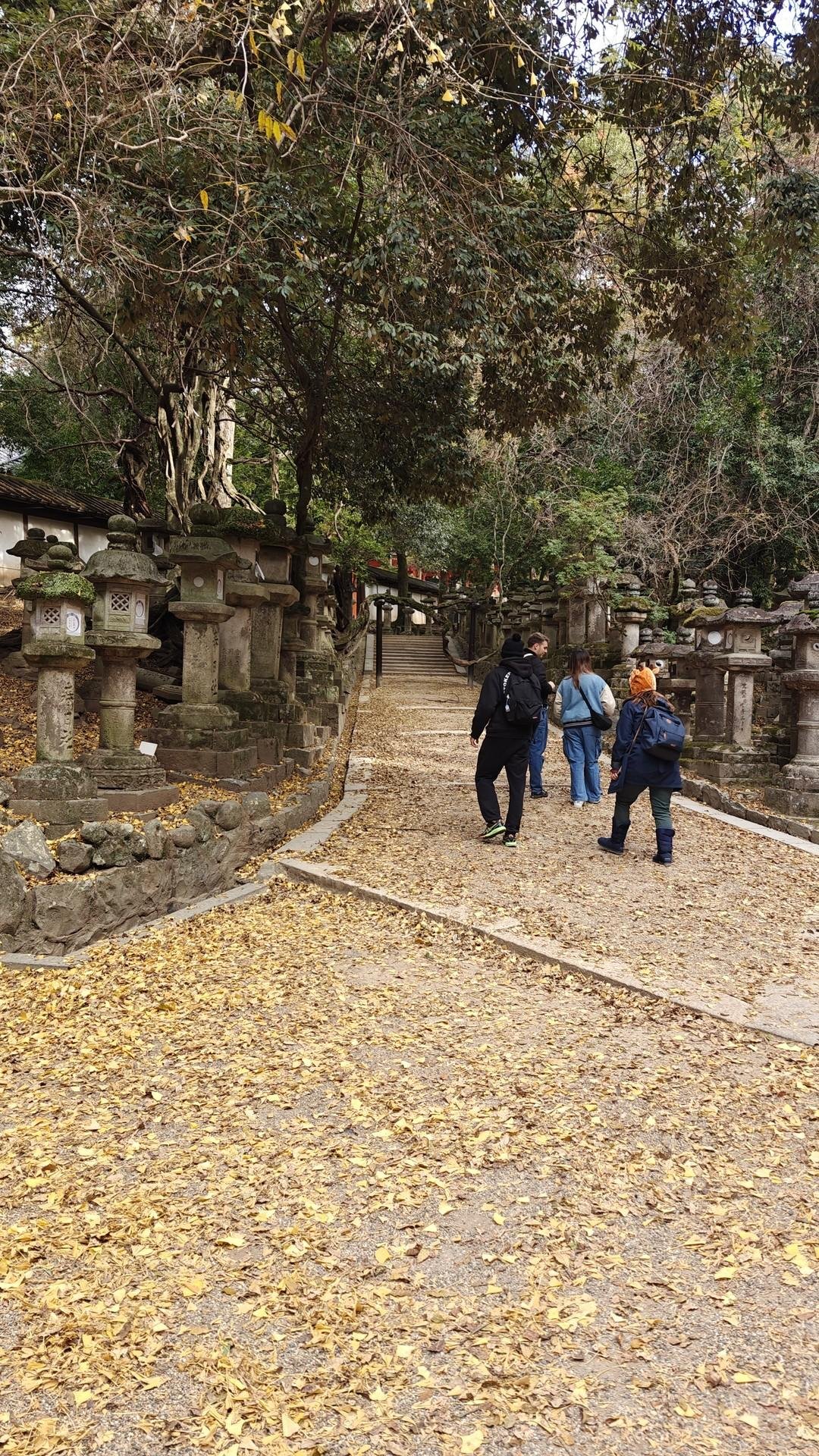 Stone lantern path with fallen leaves