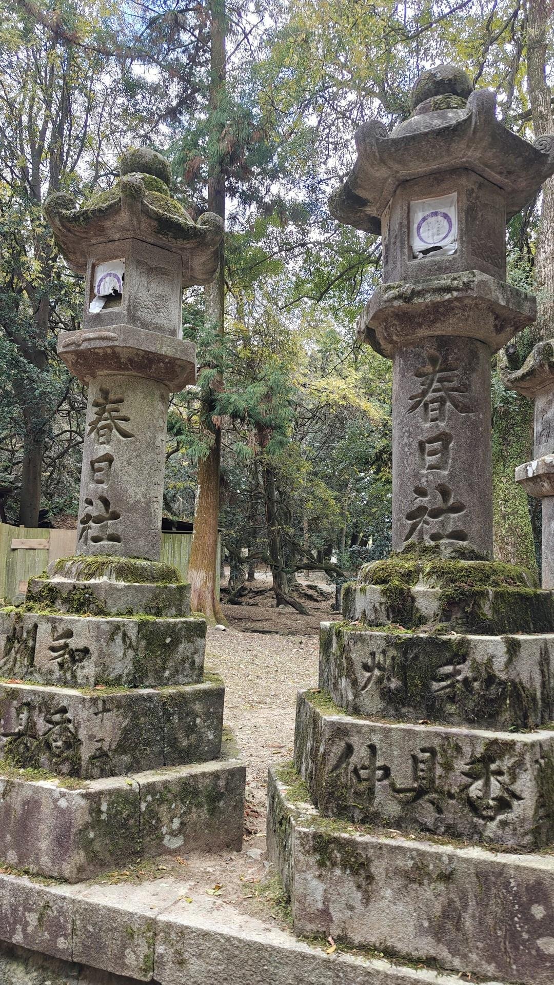 Stone lanterns in a forest setting