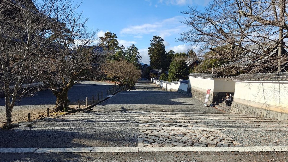 Stone path and barren trees under a clear blue sky