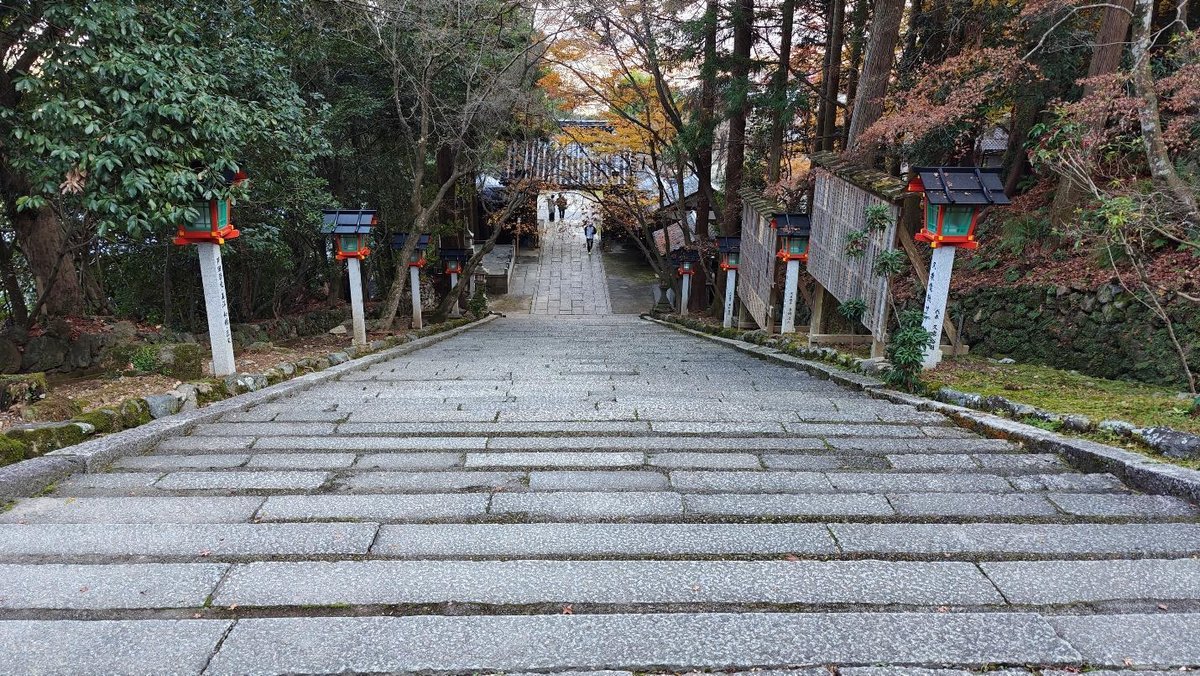 Stone path lined with lanterns leads through a wooded area