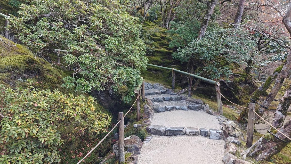 Stone pathway in lush green mossy forest