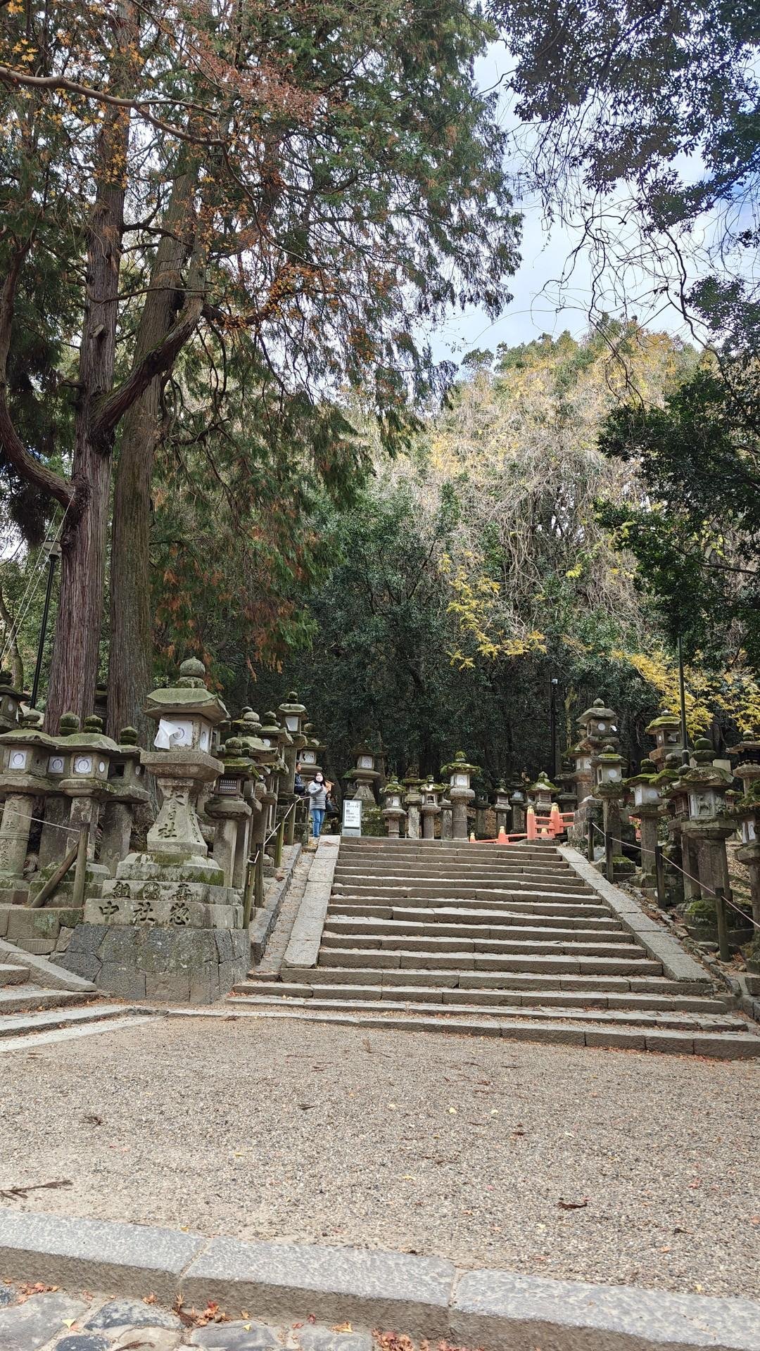 Stone stairway lined with lanterns