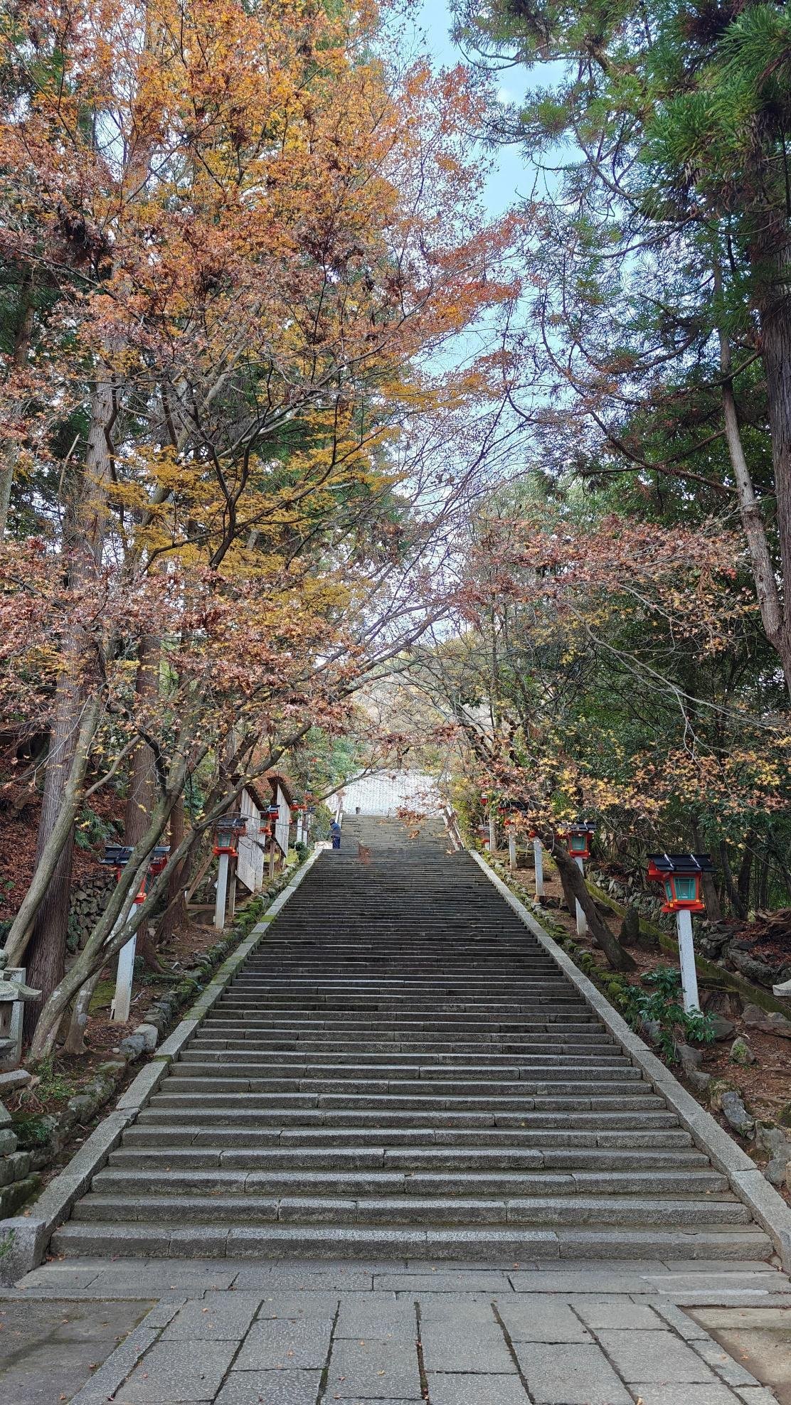 Stone steps lined with autumn trees in a serene forest