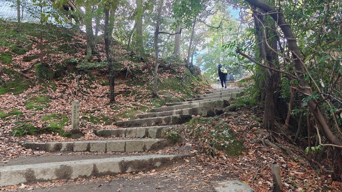 Stone steps through a leafy forest in autumn