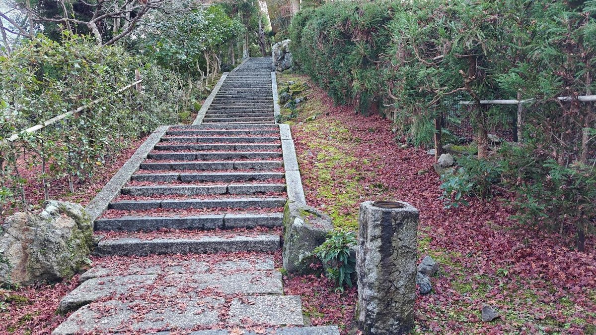 Stone steps through autumn leaves and green hedges