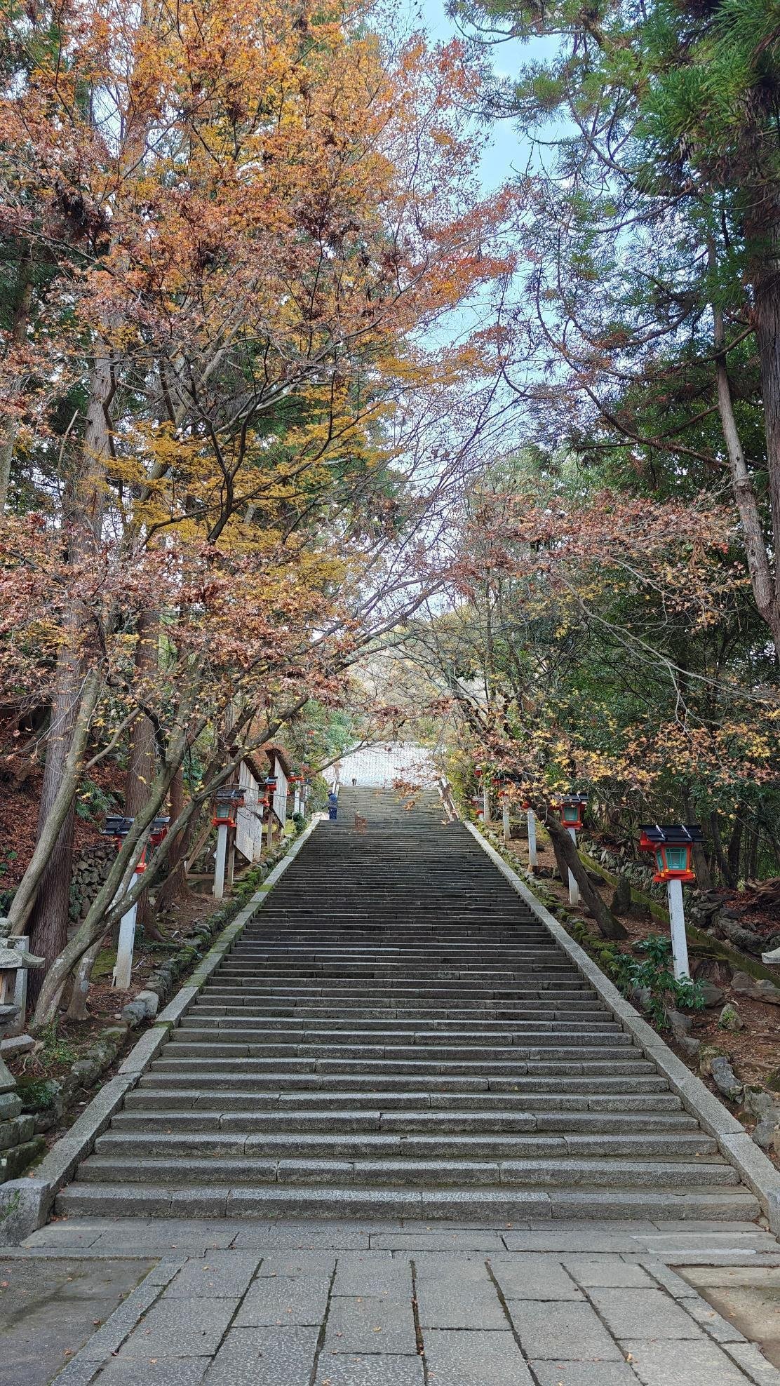 Stone steps under autumn trees with lanterns