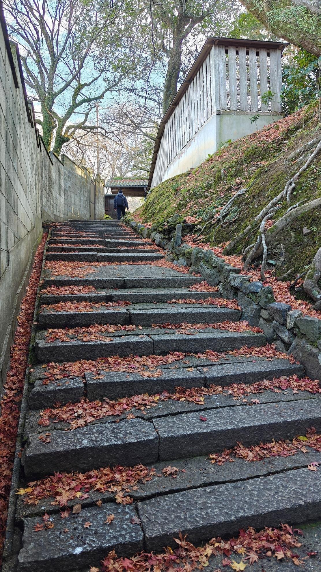 Stone steps with autumn leaves and person walking uphill