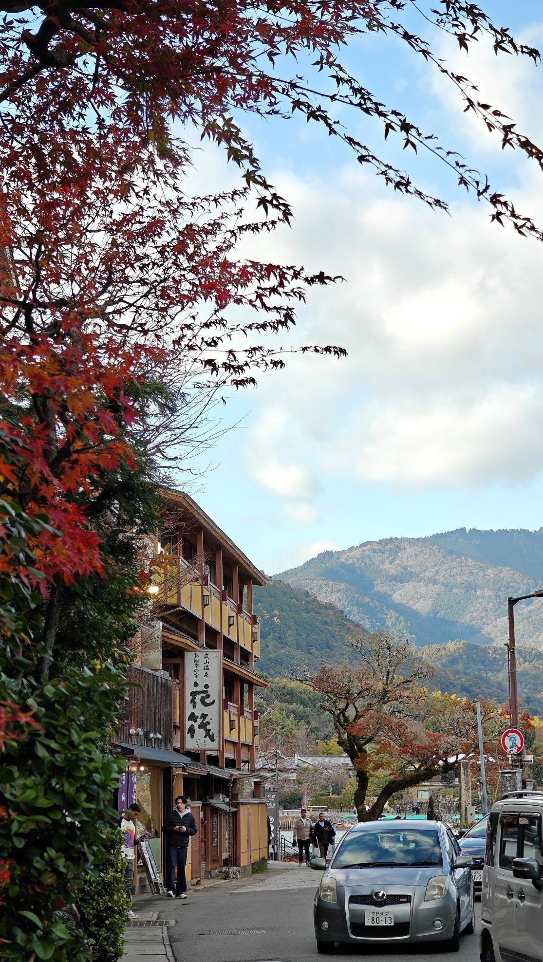 Street lined with autumn trees and mountain backdrop