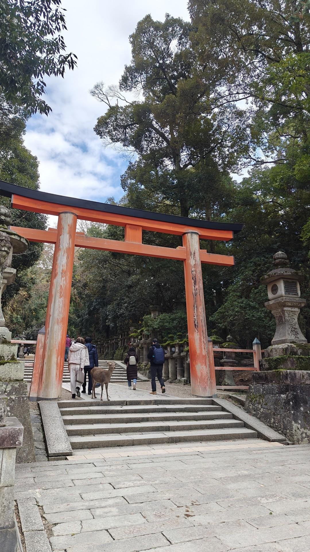 Torii gate with people and deer