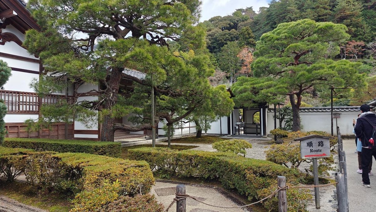 Traditional Japanese garden with pine trees and historic building