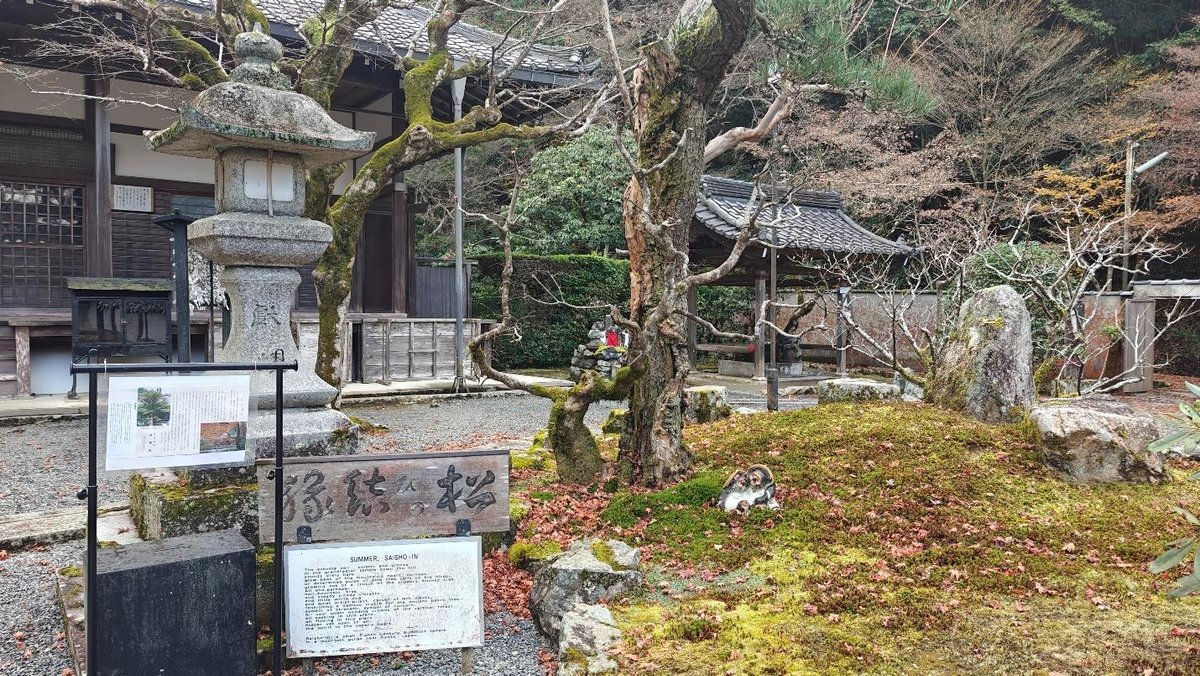 Traditional Japanese garden with stone lantern and trees