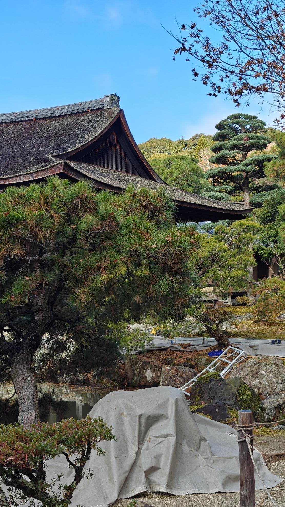 Traditional Japanese roof amid lush garden foliage