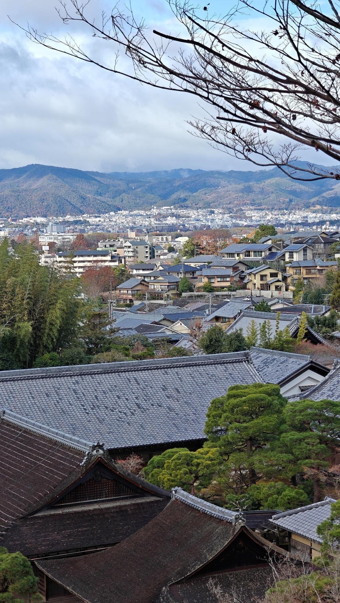 Traditional rooftops with mountain backdrop in a scenic view