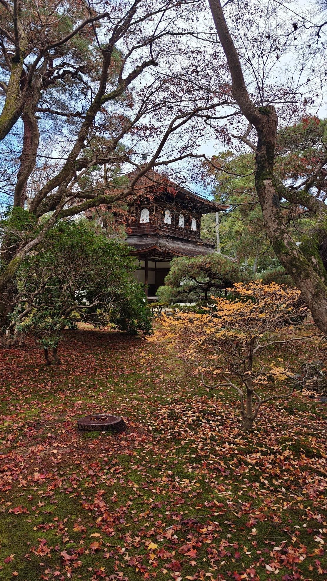 Traditional temple surrounded by autumn trees and fallen leaves