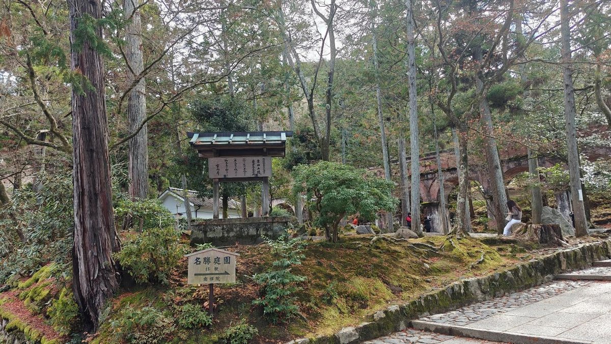 Tranquil forest garden with mossy ground and wooden sign