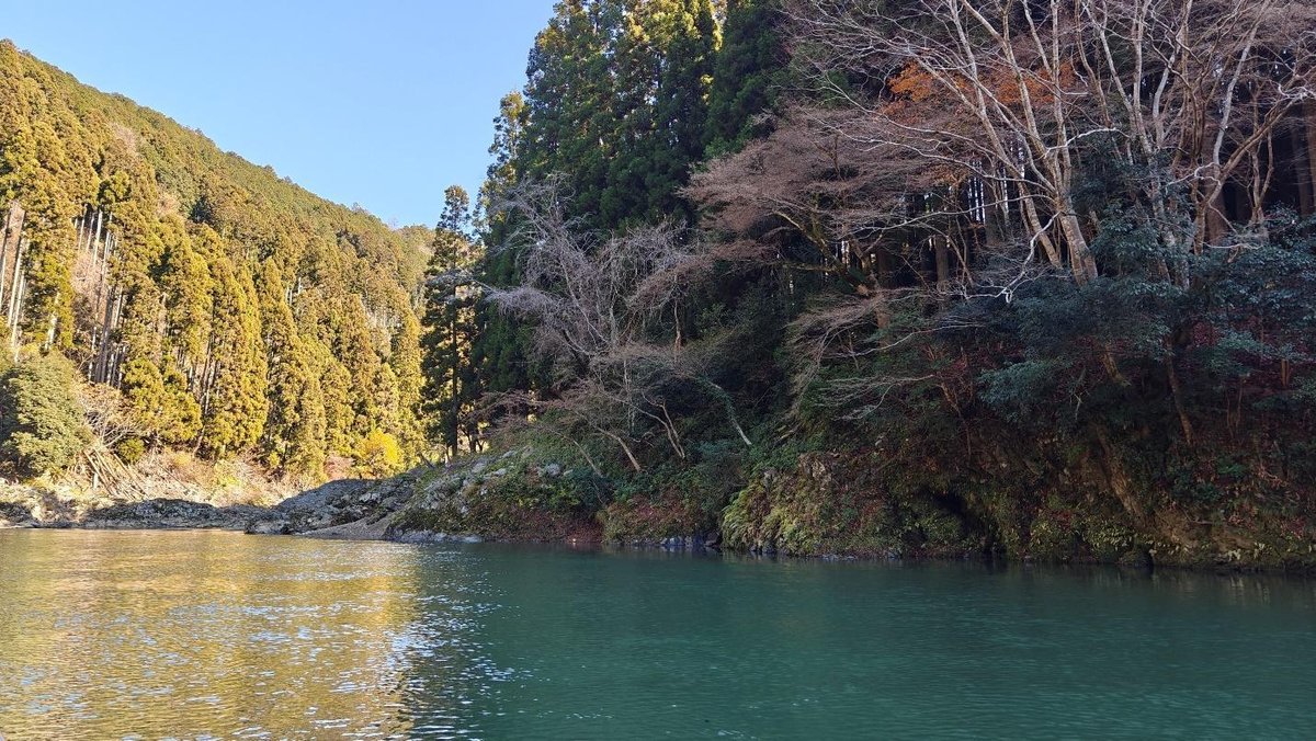Tranquil forest riverbank under clear blue sky