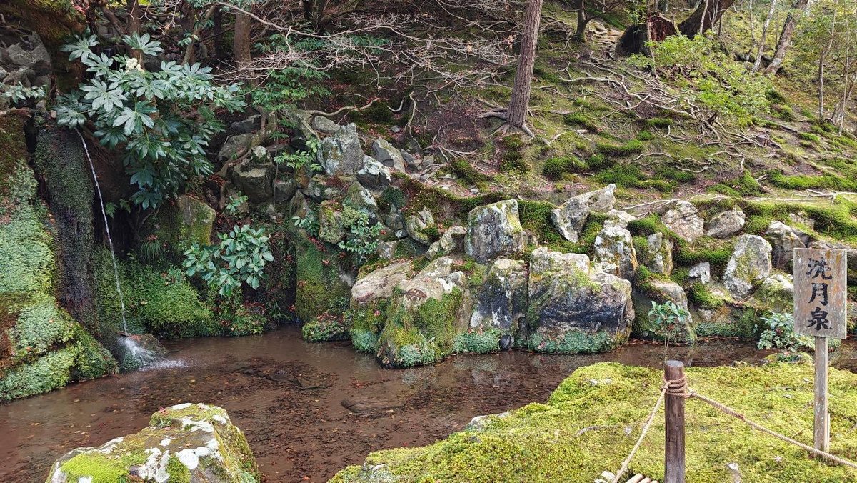 Tranquil forest stream with mossy rocks and trees.