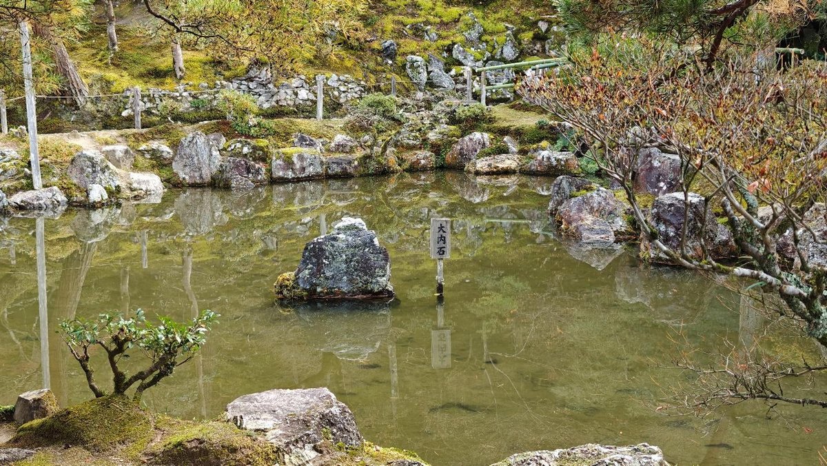 Tranquil Japanese garden pond with rocks and greenery