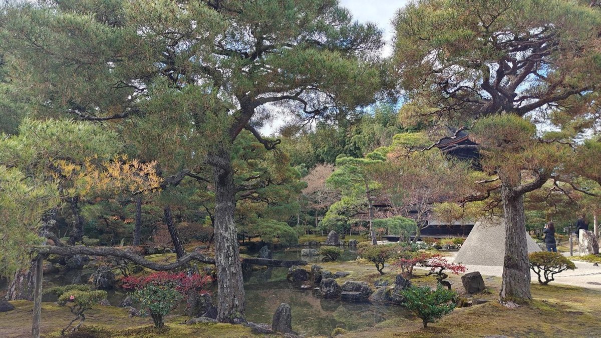Tranquil Japanese garden with pond and lush green trees