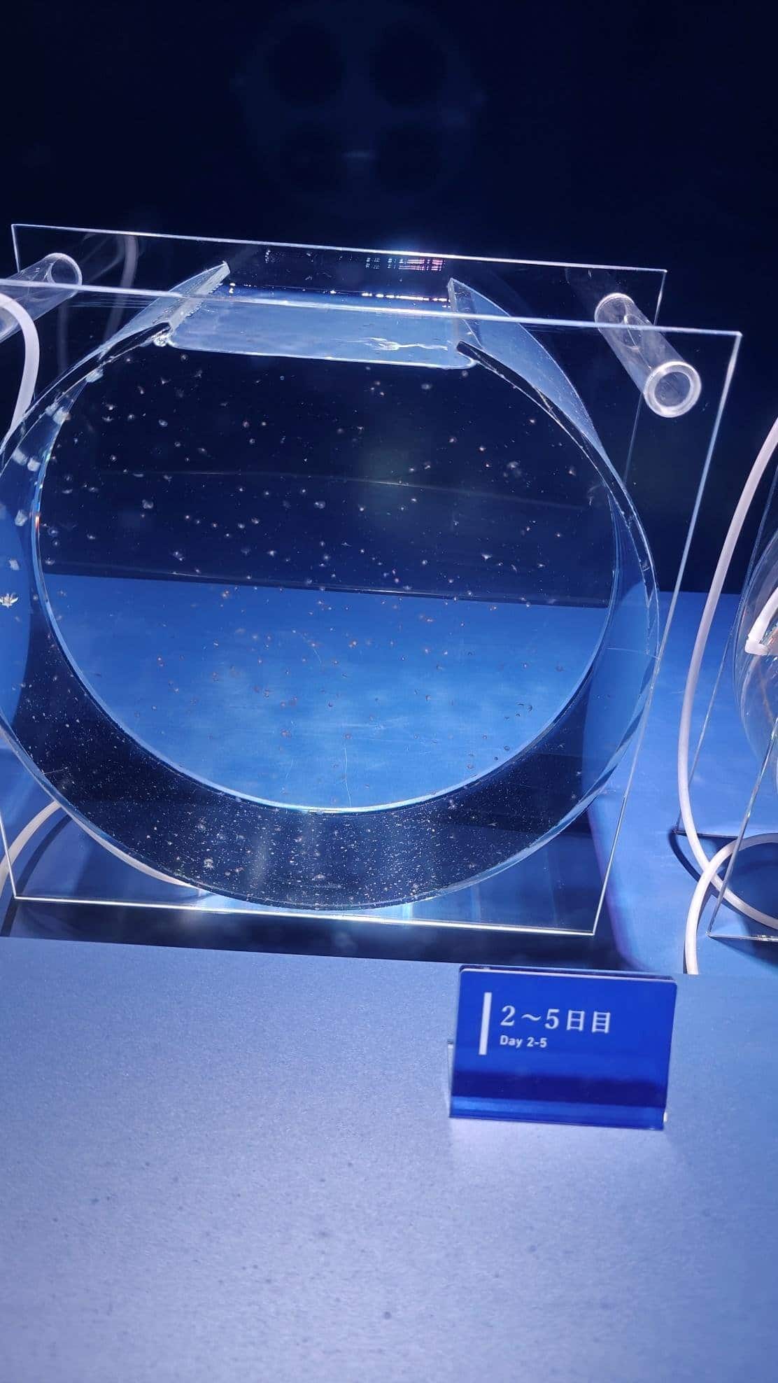 Transparent circular aquarium with plankton, blue lighting
