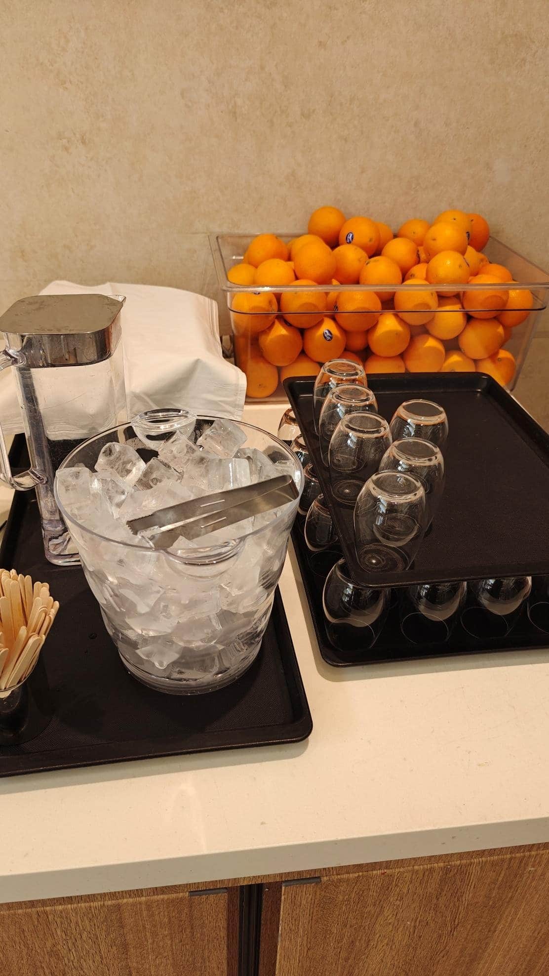 Tray of oranges and ice bucket setup