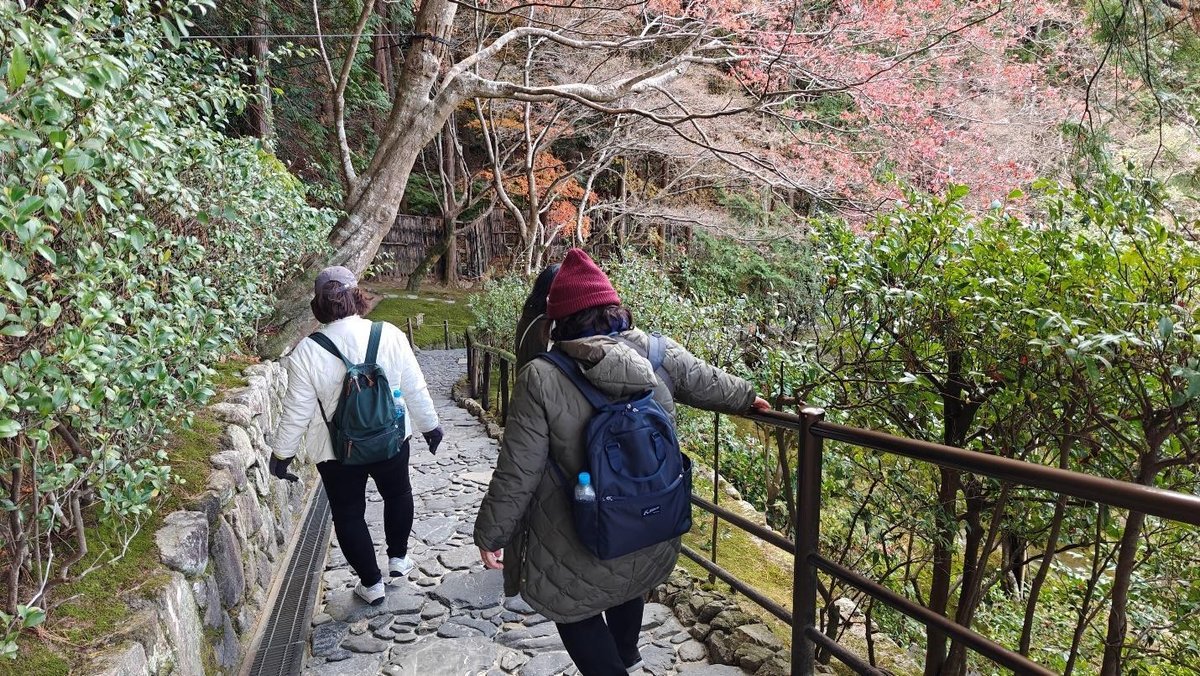 Two people walking on a scenic forest path in autumn